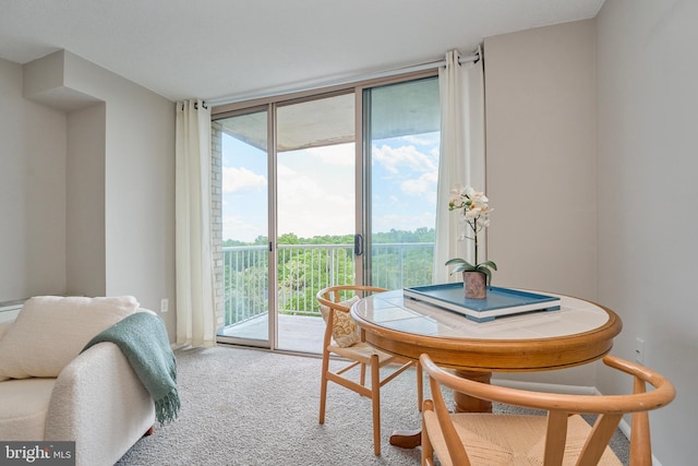 carpeted dining area featuring baseboards