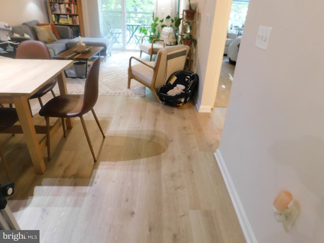 living room with baseboards and wood finished floors