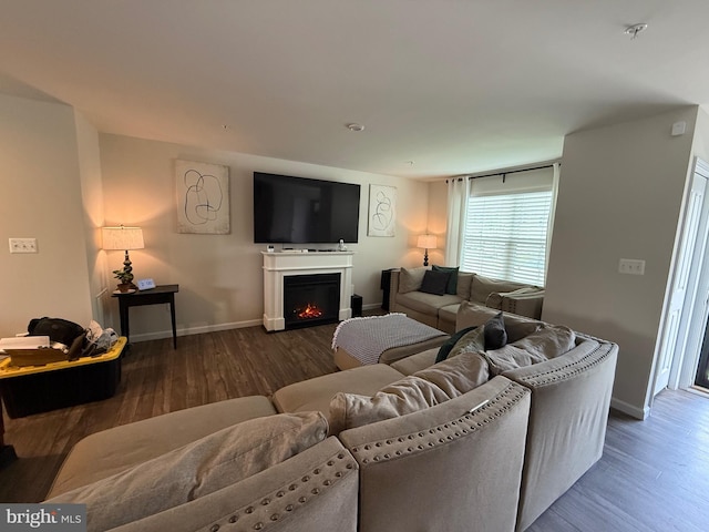 living area with baseboards, wood finished floors, and a warm lit fireplace