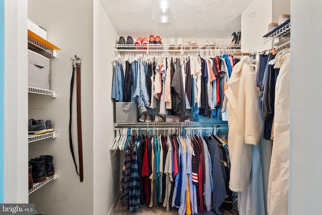 8337 Wind Fall Rd, Springfield, VA 22153 - walk in closet featuring carpet floors