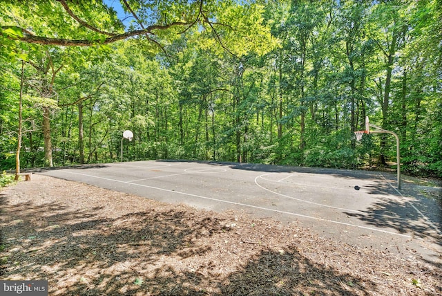 8337 Wind Fall Rd, Springfield, VA 22153 - view of sport court with basketball court and a view of trees
