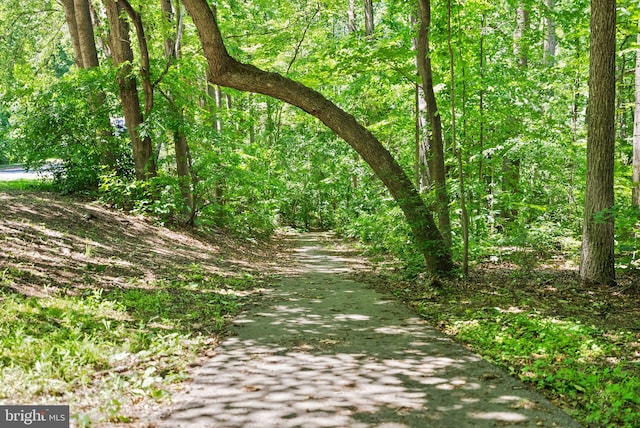 8337 Wind Fall Rd, Springfield, VA 22153 - surrounding community with a forest view