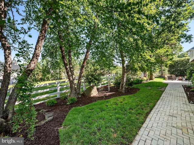 view of yard featuring a patio