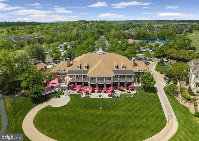 bird's eye view