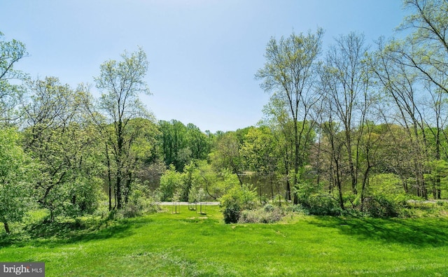 view of yard with a wooded view