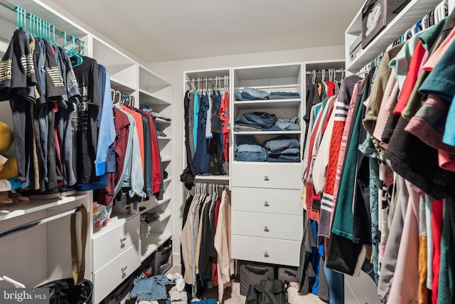 1490 Meadowlark Glen Rd, Dumfries, VA 22026 - view of spacious closet