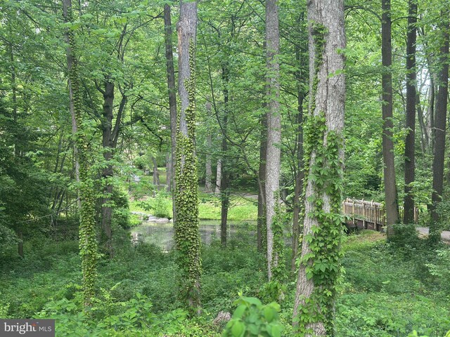 view of nature with a forest view
