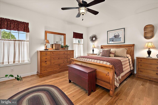 38284 Clearwater Ct, Ocean View, DE 19970 - bedroom with multiple windows, a ceiling fan, light wood-style flooring, and baseboards