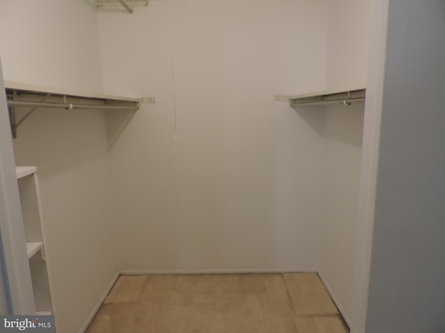 25 Church Rd Unit 007, Maple Shade, NJ 08052 - spacious closet with light carpet