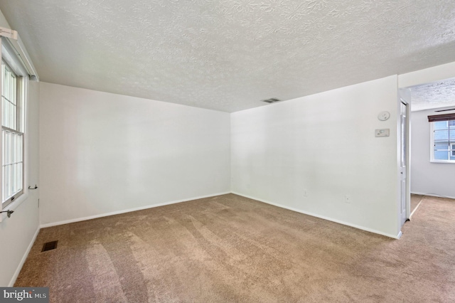 additional living space with carpet flooring, a textured ceiling, and baseboards