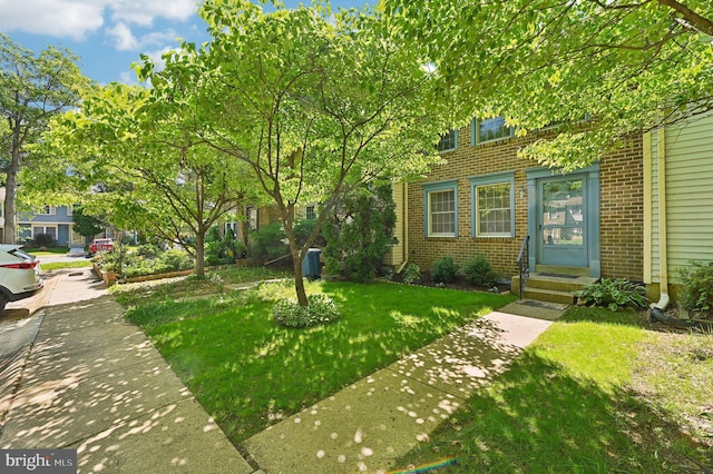 view of green lawn featuring entry steps