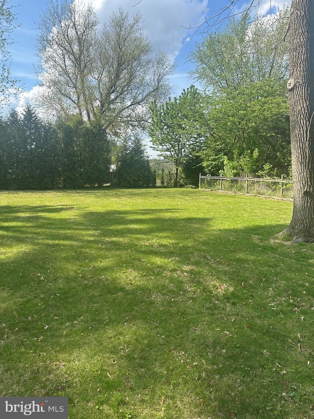 view of yard