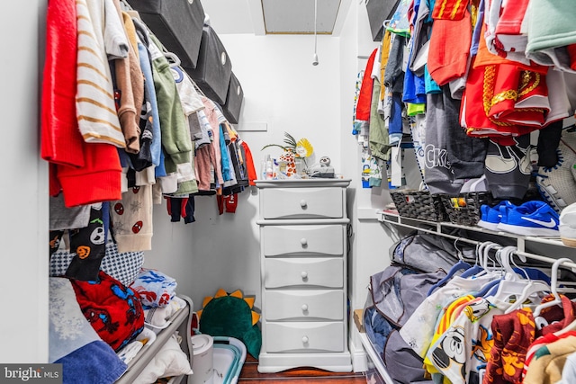 spacious closet with attic access