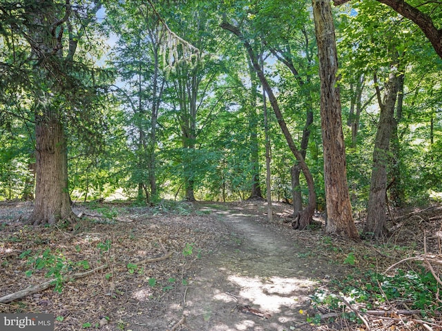 view of undeveloped land