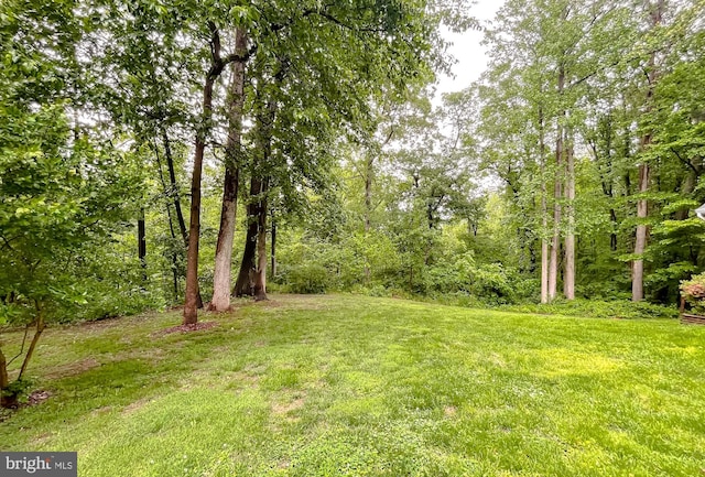 411 N Ln, Prince Frederick, MD 20678 - view of grassy yard