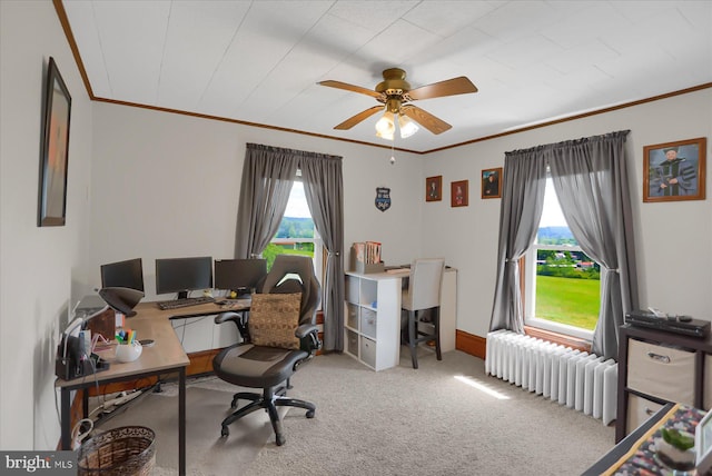 2050 Legion Rd, Clearfield, PA 16830 - carpeted office with plenty of natural light, ornamental molding, and radiator heating unit