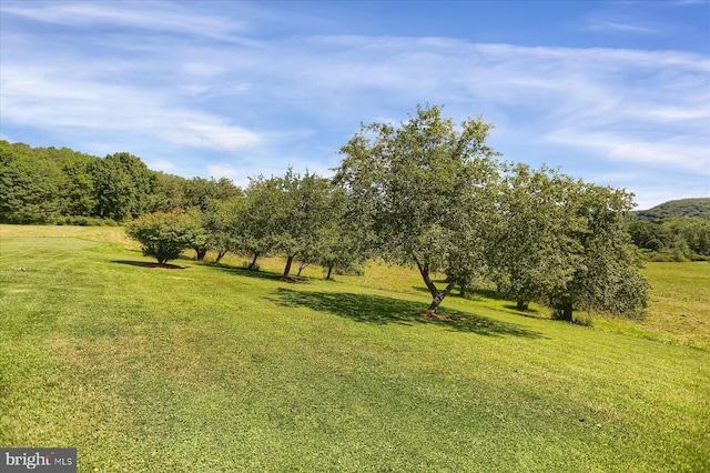 2050 Legion Rd, Clearfield, PA 16830 - view of landscape