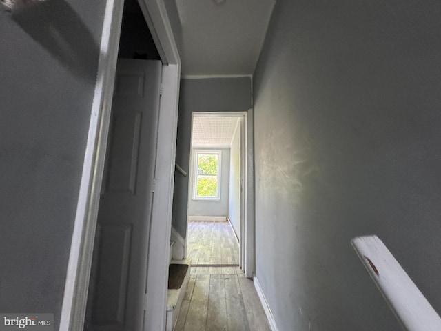 1505 Ramsay St, Baltimore, MD 21223 - hall with hardwood / wood-style floors