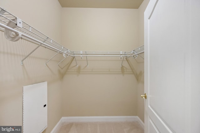 walk in closet with carpet