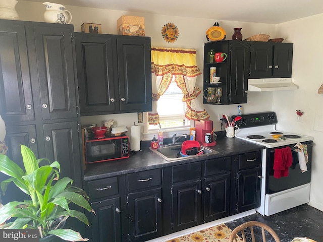 10092 Fay Ave, Seaford, DE 19973 - kitchen with dark countertops, white electric range oven, a sink, dark cabinetry, and under cabinet range hood