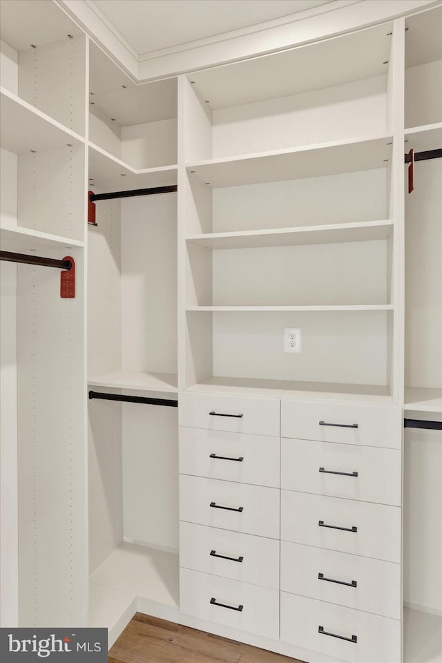walk in closet with wood finished floors