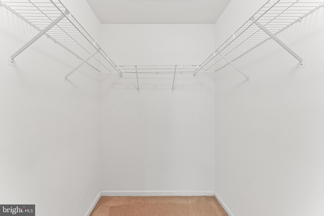 493 Stoneglen St, Collegeville, PA 19426 - spacious closet with light colored carpet