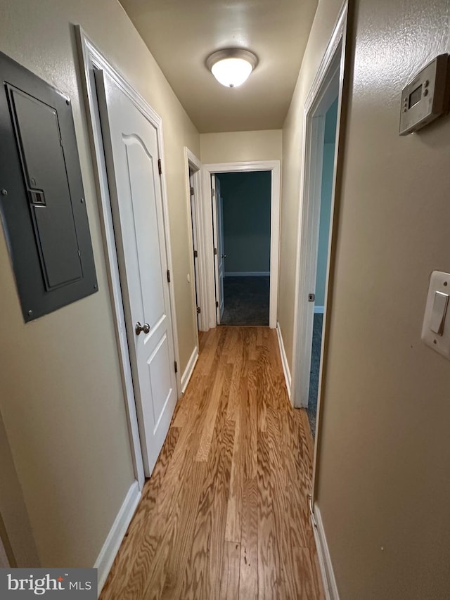 hall featuring baseboards, light wood-style flooring, and electric panel