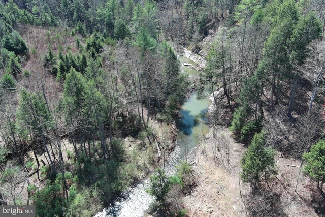 111 Heron Ln, Augusta, WV 26704 - aerial overview of property's location with a forest