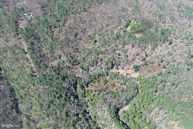111 Heron Ln, Augusta, WV 26704 - aerial view of property's location