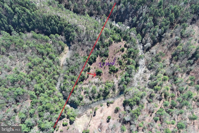 111 Heron Ln, Augusta, WV 26704 - bird's eye view of a heavily wooded area