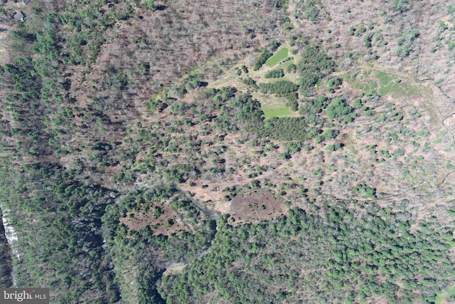 111 Heron Ln, Augusta, WV 26704 - aerial overview of property's location