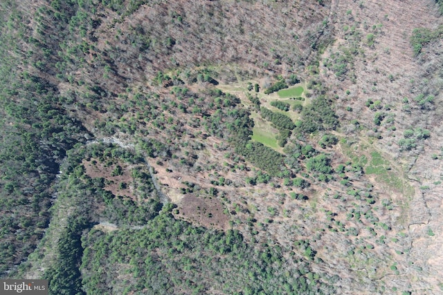 111 Heron Ln, Augusta, WV 26704 - aerial view of property and surrounding area