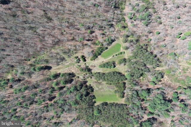111 Heron Ln, Augusta, WV 26704 - aerial overview of property's location