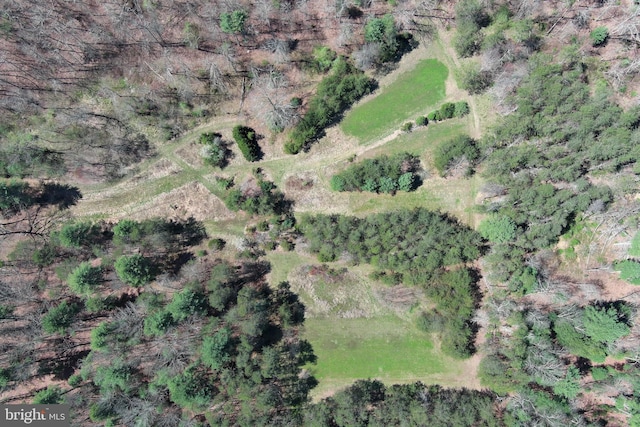 111 Heron Ln, Augusta, WV 26704 - aerial overview of property's location