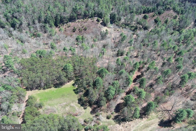 111 Heron Ln, Augusta, WV 26704 - aerial view of property's location