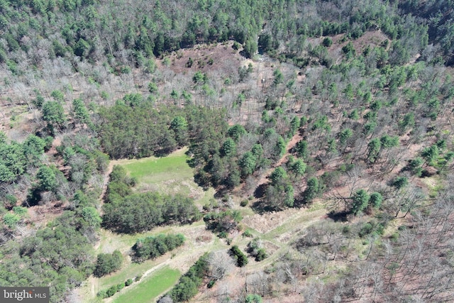 111 Heron Ln, Augusta, WV 26704 - aerial view of property and surrounding area with a heavily wooded area