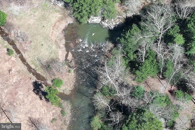 111 Heron Ln, Augusta, WV 26704 - aerial overview of property's location
