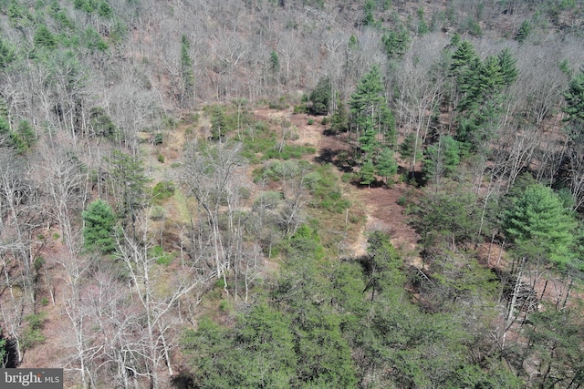 111 Heron Ln, Augusta, WV 26704 - aerial view