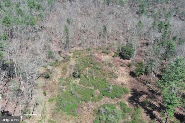 111 Heron Ln, Augusta, WV 26704 - aerial view of property and surrounding area