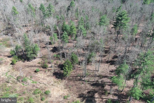 111 Heron Ln, Augusta, WV 26704 - view of undeveloped land