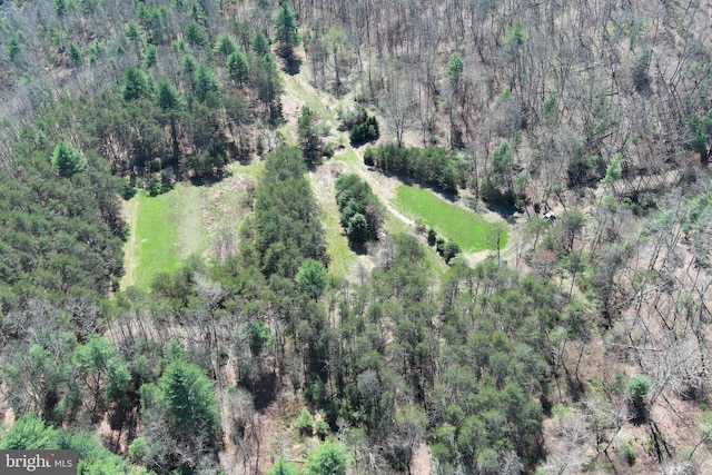 111 Heron Ln, Augusta, WV 26704 - aerial view of property and surrounding area with a heavily wooded area