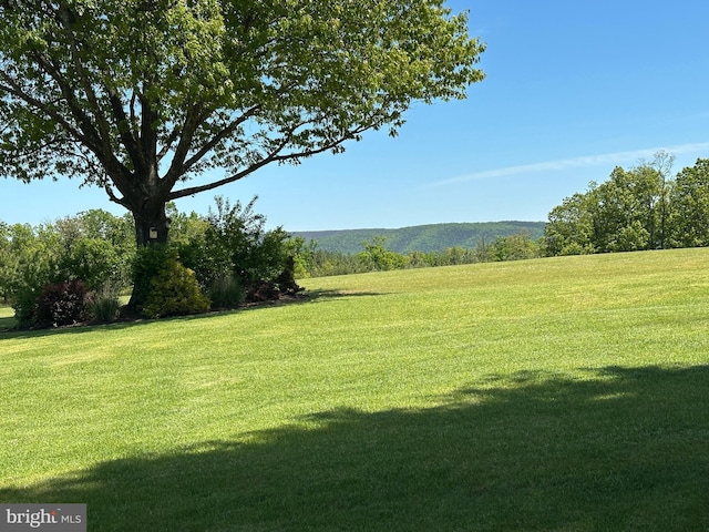 111 Heron Ln, Augusta, WV 26704 - view of green lawn with a view of rural / pastoral area