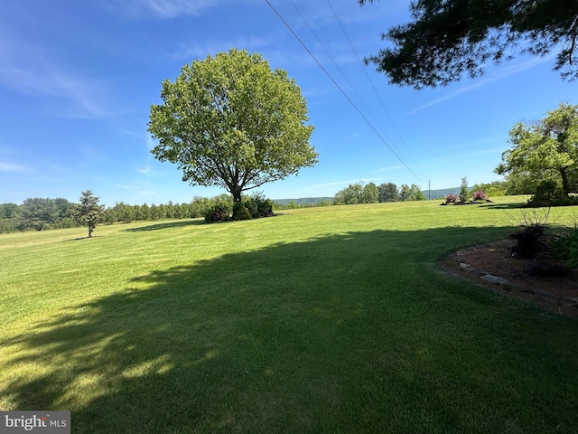 111 Heron Ln, Augusta, WV 26704 - view of grassy yard
