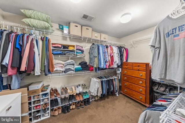 111 Heron Ln, Augusta, WV 26704 - walk in closet featuring carpet flooring