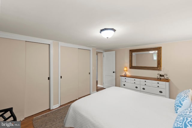 111 Heron Ln, Augusta, WV 26704 - bedroom featuring two closets and wood finished floors