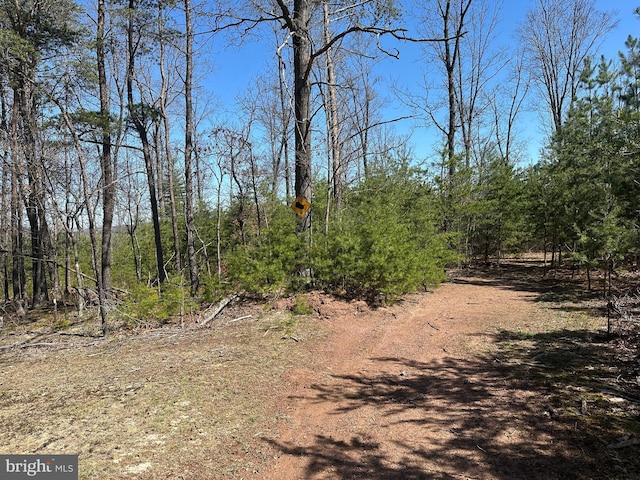 111 Heron Ln, Augusta, WV 26704 - view of undeveloped land