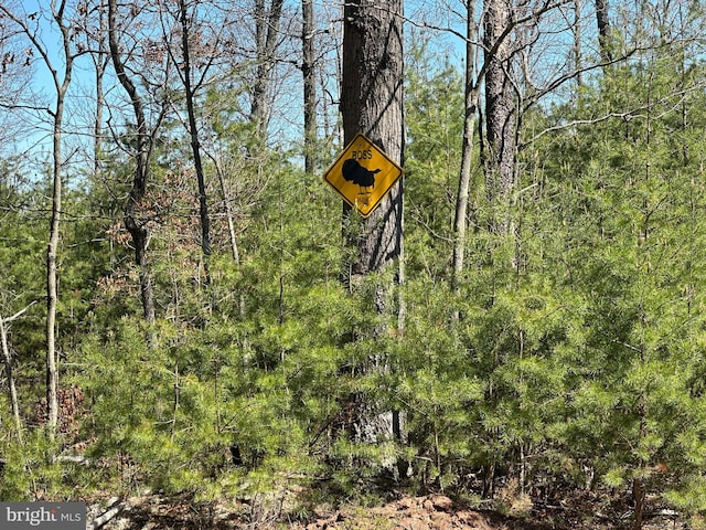 111 Heron Ln, Augusta, WV 26704 - view of wooded area