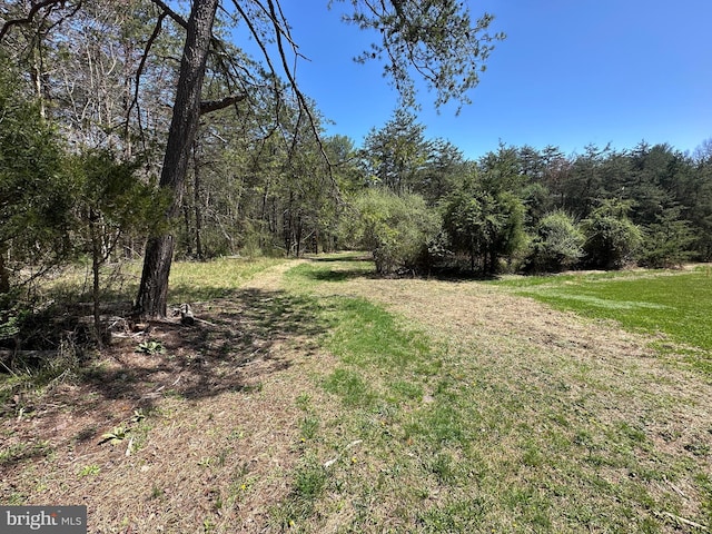 111 Heron Ln, Augusta, WV 26704 - view of grassy yard featuring a view of trees