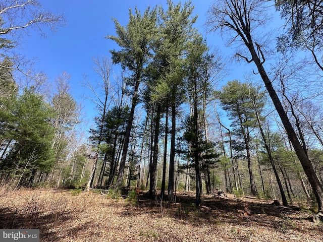 111 Heron Ln, Augusta, WV 26704 - view of woods