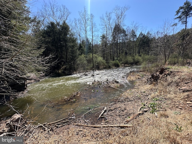 111 Heron Ln, Augusta, WV 26704 - view of local wilderness